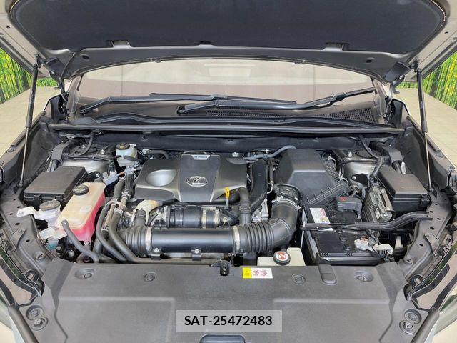 Lexus NX 2017-10 8780861-17