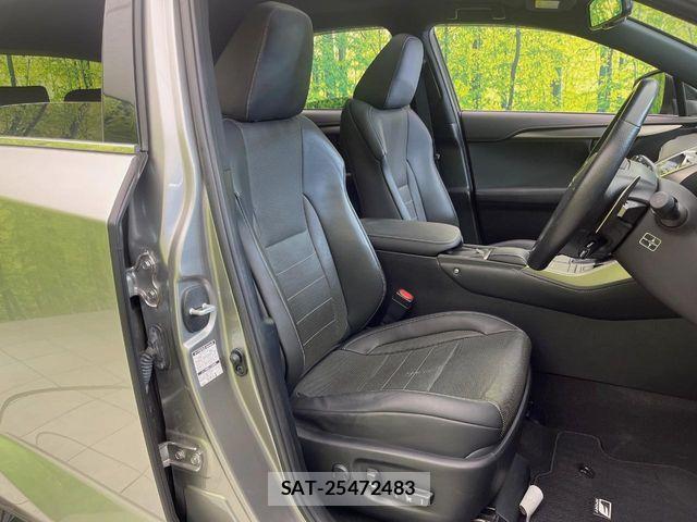 Lexus NX 2017-10 8780861-7