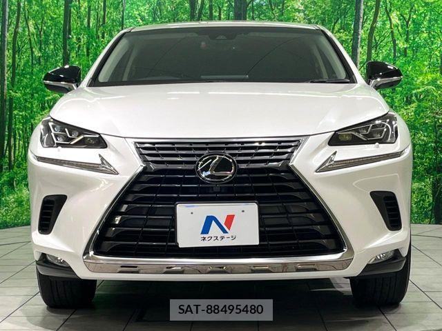 Lexus NX 2018-01 8780862-14