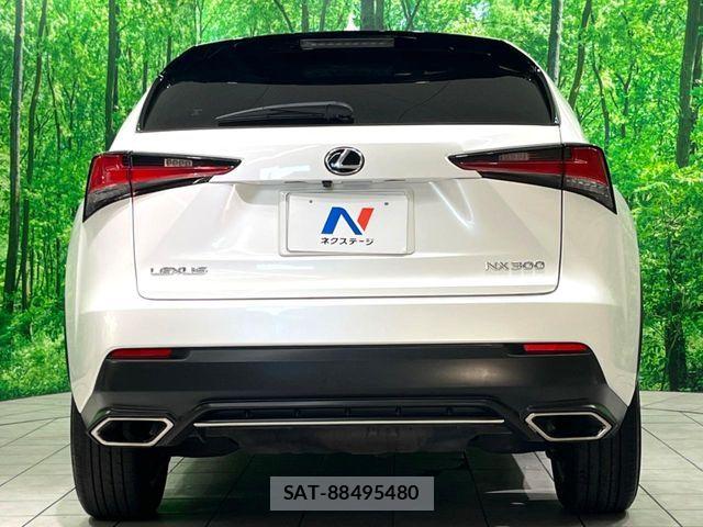 Lexus NX 2018-01 8780862-15