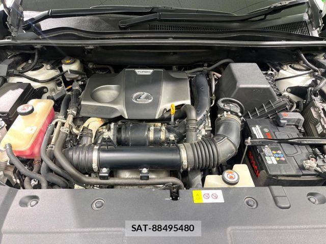 Lexus NX 2018-01 8780862-16