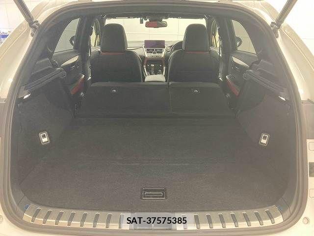 Lexus NX 2019-10 8796489-12