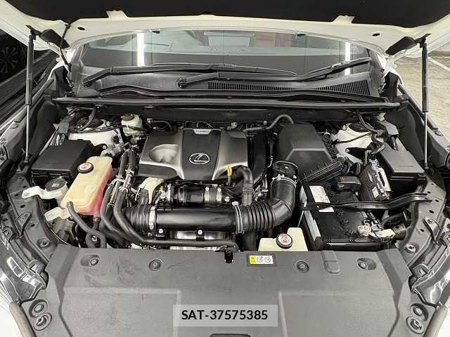 Lexus NX 2019-10 8796489-13