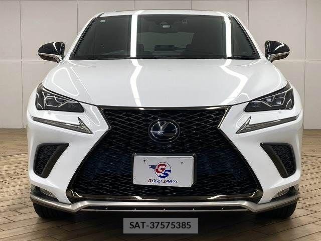 Lexus NX 2019-10 8796489-14