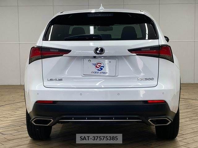 Lexus NX 2019-10 8796489-15