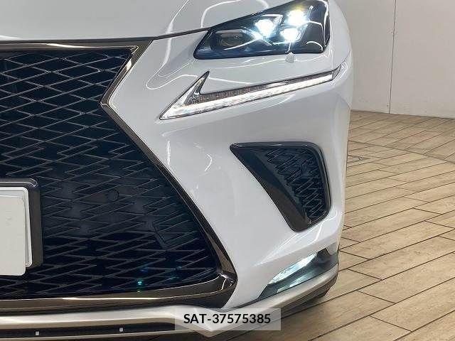 Lexus NX 2019-10 8796489-19