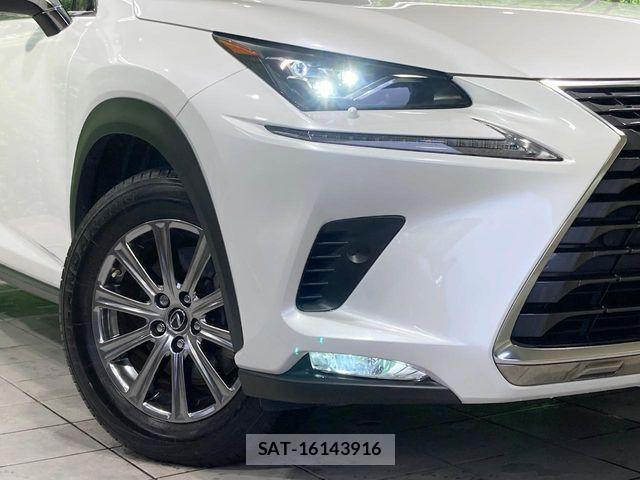 Lexus NX 2019-10 8796490-11