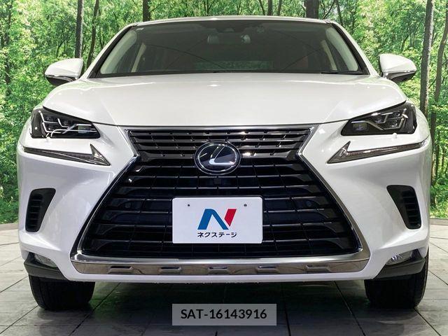 Lexus NX 2019-10 8796490-13