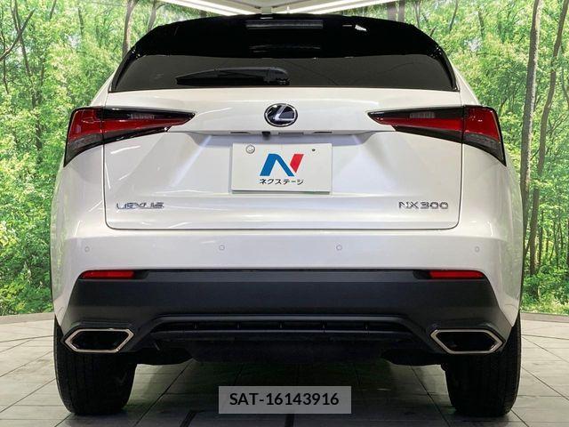 Lexus NX 2019-10 8796490-14