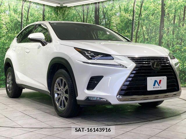 Lexus NX 2019-10 8796490-15