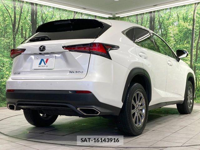 Lexus NX 2019-10 8796490-16