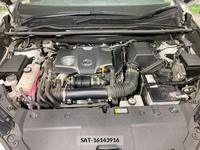 Lexus NX 2019-10 8796490-17