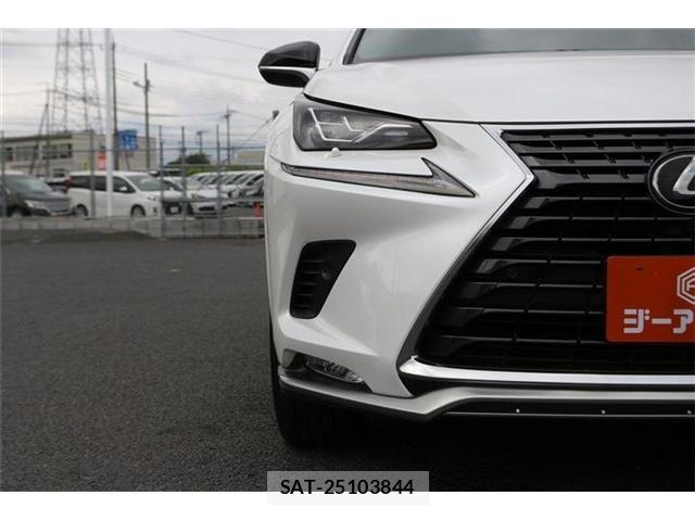 Lexus NX 2020-11 8829979-9