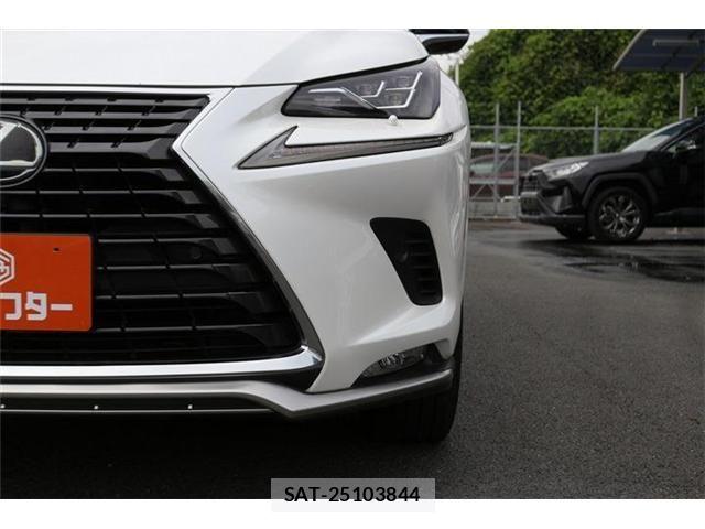 Lexus NX 2020-11 8829979-11
