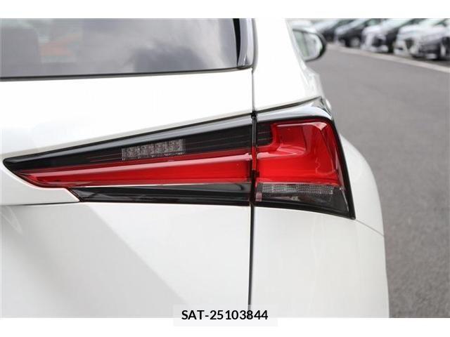 Lexus NX 2020-11 8829979-13