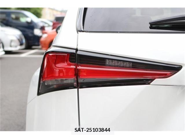 Lexus NX 2020-11 8829979-14
