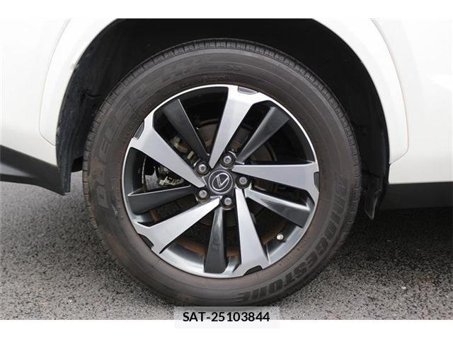 Lexus NX 2020-11 8829979-16