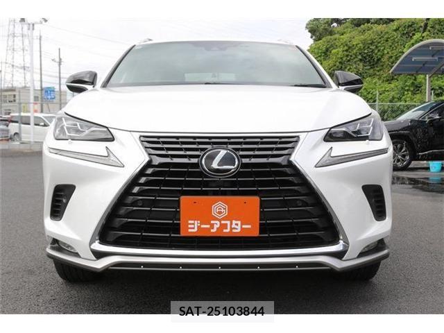 Lexus NX 2020-11 8829979-1