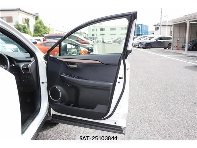 Lexus NX 2020-11 8829979-24