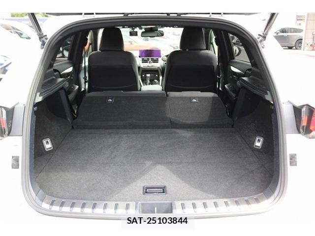 Lexus NX 2020-11 8829979-29