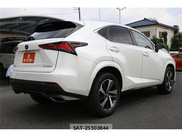 Lexus NX 2020-11 8829979-4