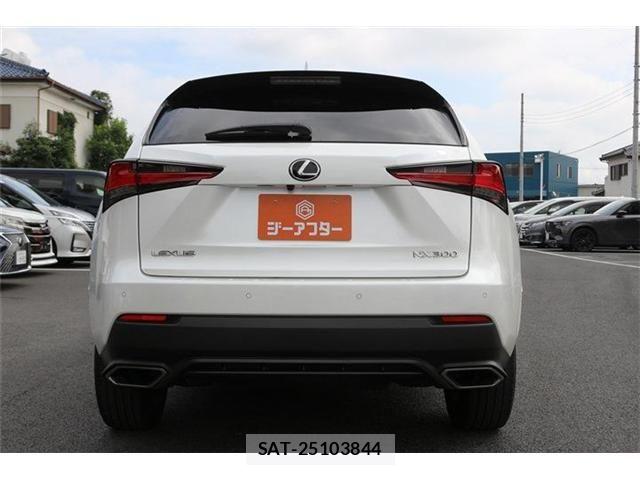 Lexus NX 2020-11 8829979-5