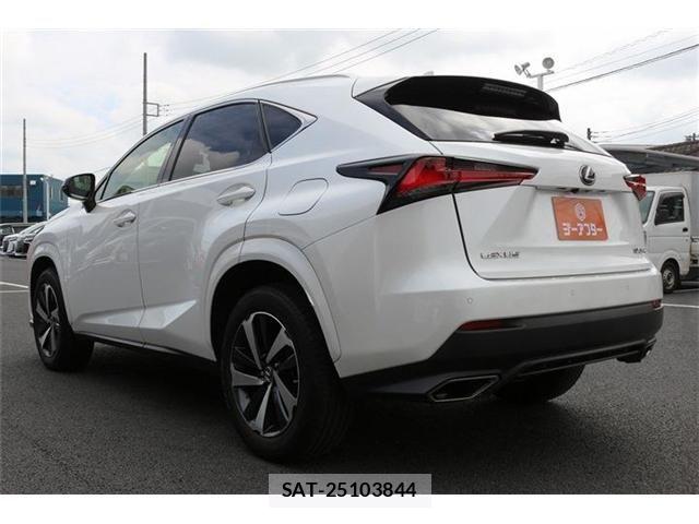 Lexus NX 2020-11 8829979-6