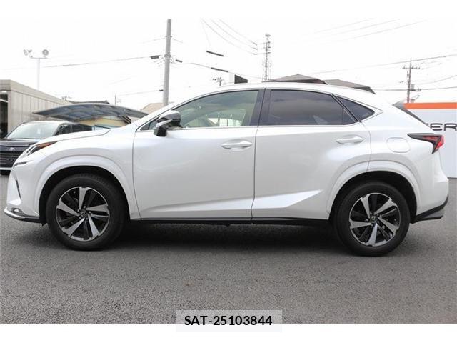 Lexus NX 2020-11 8829979-7