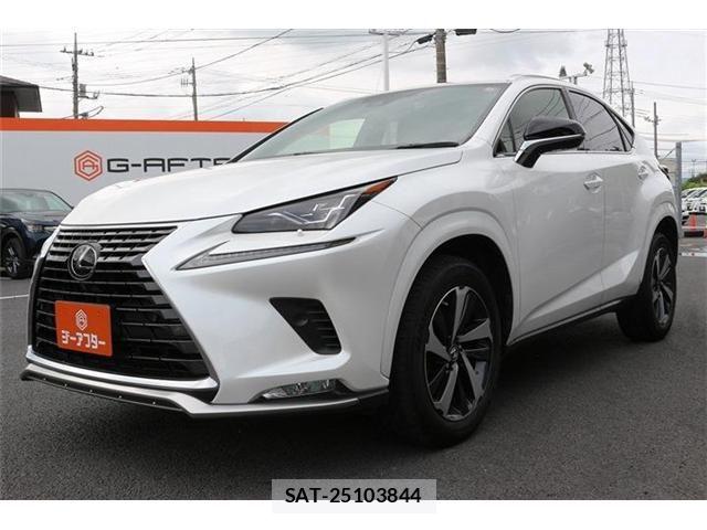 Lexus NX 2020-11 8829979-8