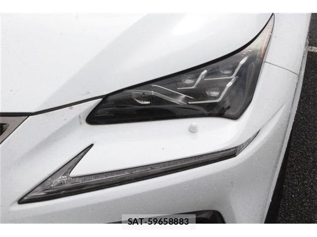 Lexus NX 2018-10 8829971-19