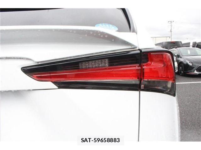 Lexus NX 2018-10 8829971-27