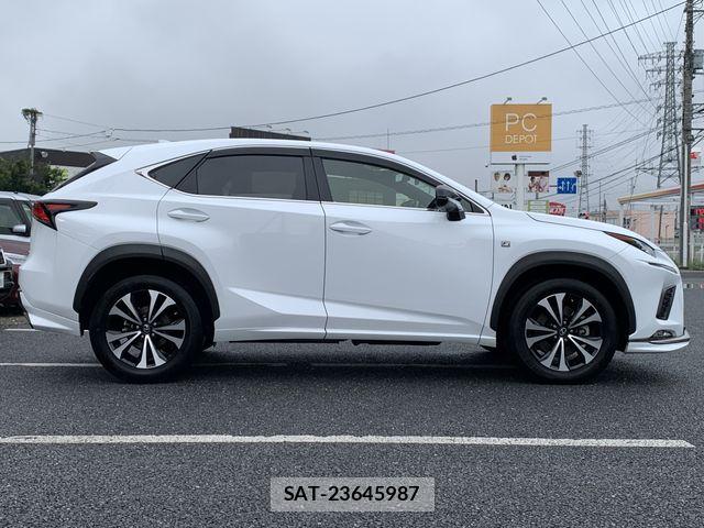 Lexus NX 2019-01 8829978-10