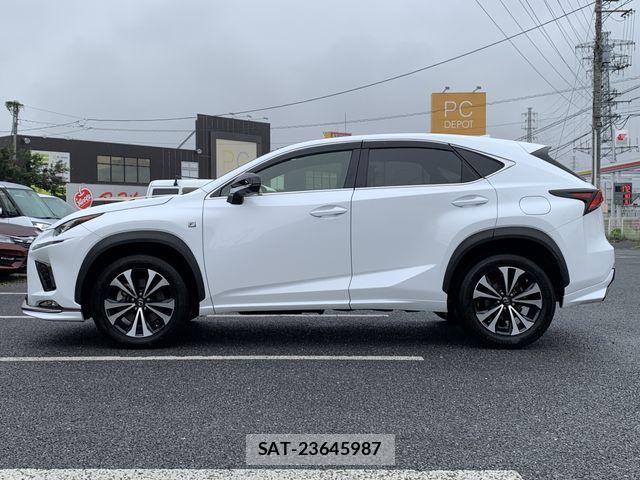 Lexus NX 2019-01 8829978-11