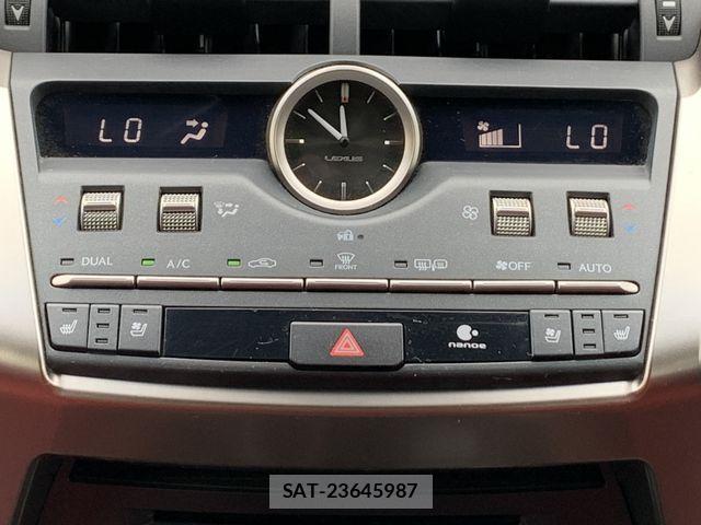 Lexus NX 2019-01 8829978-19