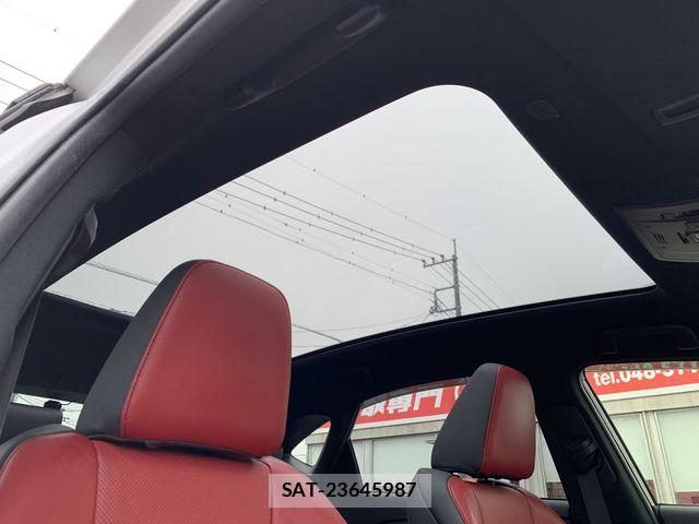 Lexus NX 2019-01 8829978-23