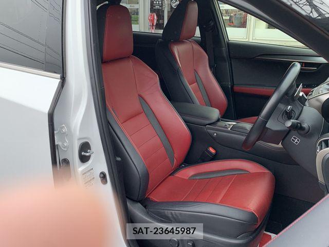 Lexus NX 2019-01 8829978-24