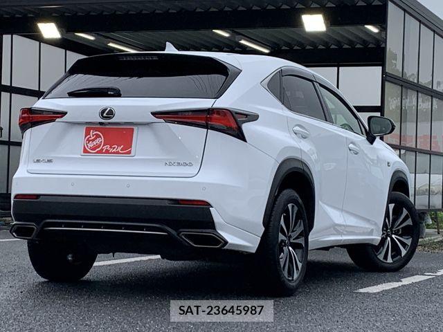 Lexus NX 2019-01 8829978-4