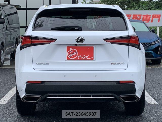 Lexus NX 2019-01 8829978-6
