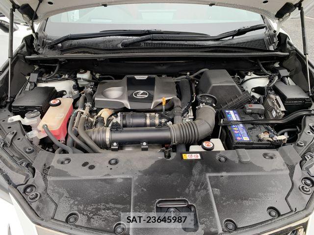 Lexus NX 2019-01 8829978-7