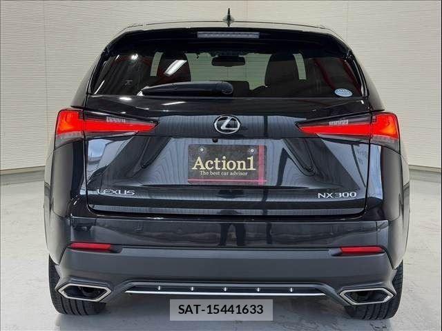 Lexus NX 2019-08 8849586-4