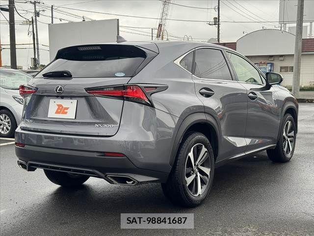 Lexus NX 2018-06 8849589-14