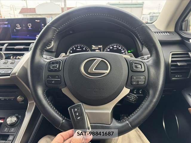 Lexus NX 2018-06 8849589-6