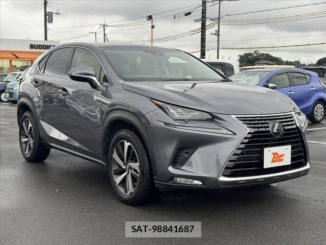 Lexus NX 2018-06 8849589-7