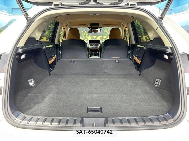 Lexus NX 2017-12 8871356-9