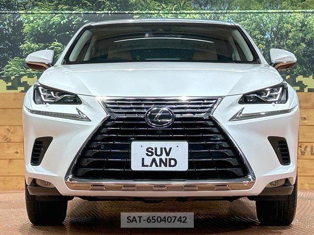 Lexus NX 2017-12 8871356-13