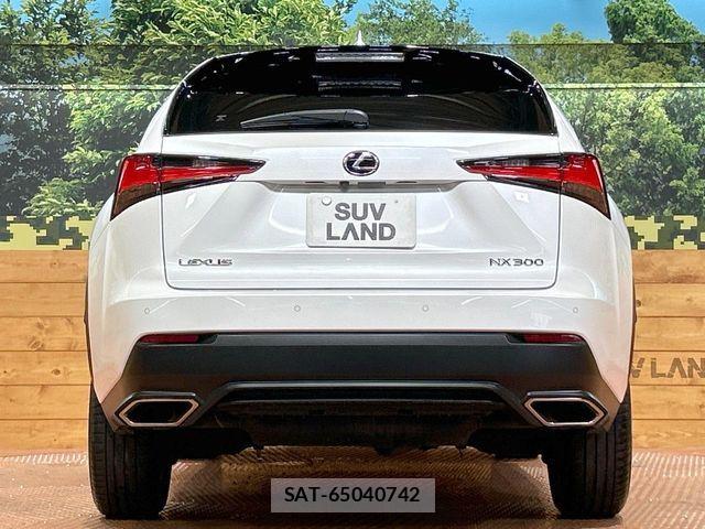Lexus NX 2017-12 8871356-14