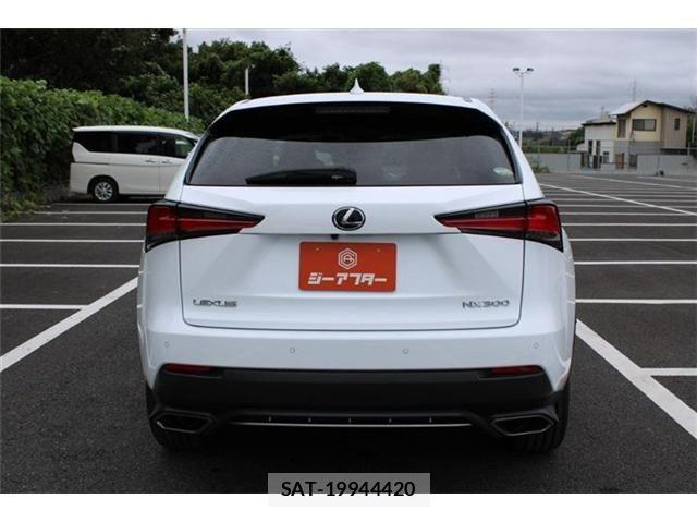 Lexus NX 2017-09 8880529-11