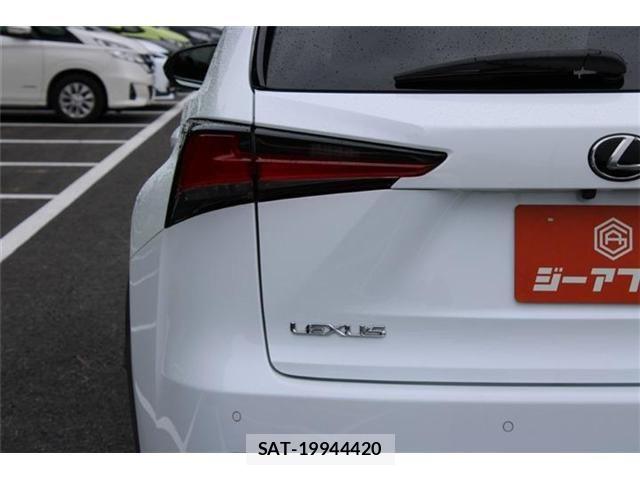 Lexus NX 2017-09 8880529-12
