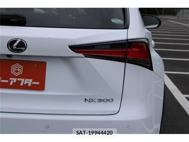 Lexus NX 2017-09 8880529-13
