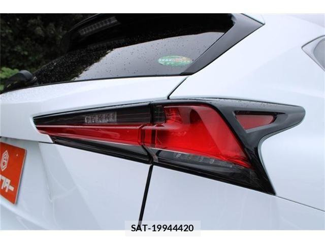 Lexus NX 2017-09 8880529-15